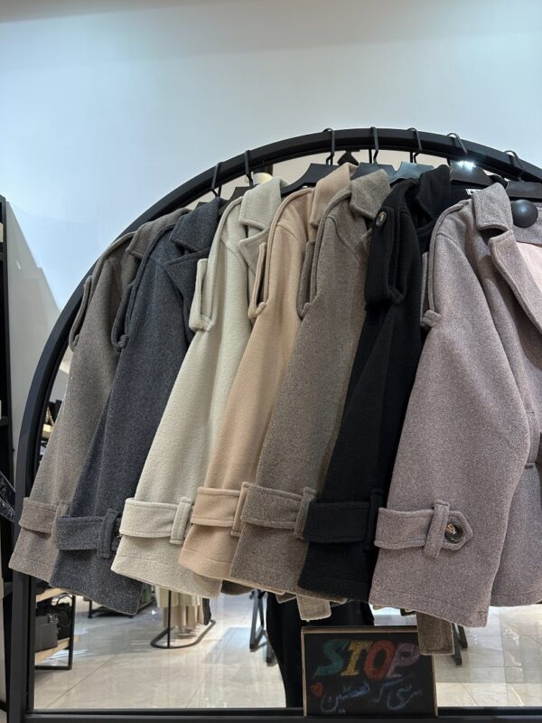 2024_12_18_21_20_IMG_1293-min کت فوتر تک دکمه کمر وسط طرح ستایش (34230) - Image 2